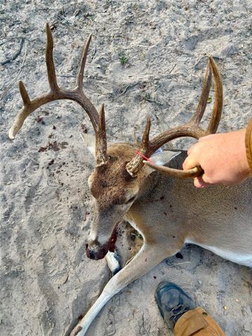 10324 Fm 530, Hallettsville, TX 77964