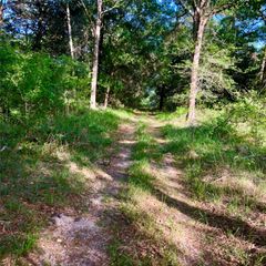 10324 Fm 530, Hallettsville, TX 77964