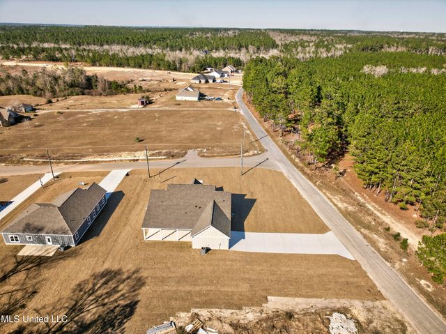 3 Shadow Wood Drive, Mchenry, MS 39561