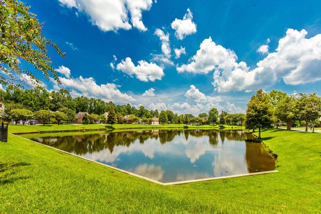 13110 Cypress Swamp Dr, Geismar, LA 70734