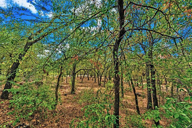 15 Oak Bluff Drive, Cross Roads, TX 76227