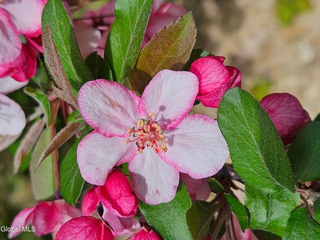 50 Glenham Road, Saratoga Springs, Inside, NY 12866