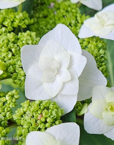 50 Glenham Road, Saratoga Springs, Inside, NY 12866