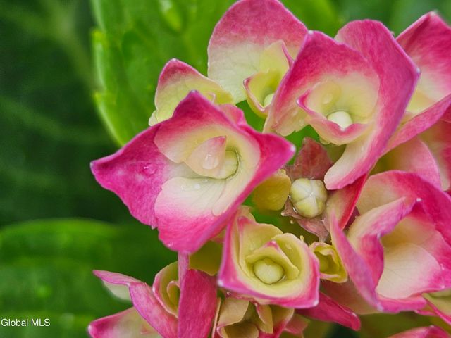 50 Glenham Road, Saratoga Springs, Inside, NY 12866