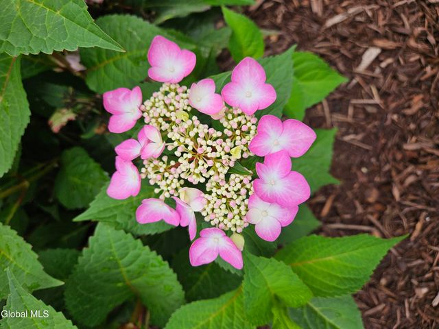 50 Glenham Road, Saratoga Springs, Inside, NY 12866