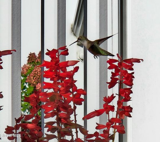 50 Glenham Road, Saratoga Springs, Inside, NY 12866