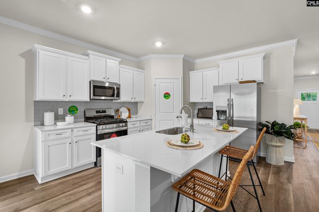 180 Calm Citadel Drive, Pelion, SC 29123