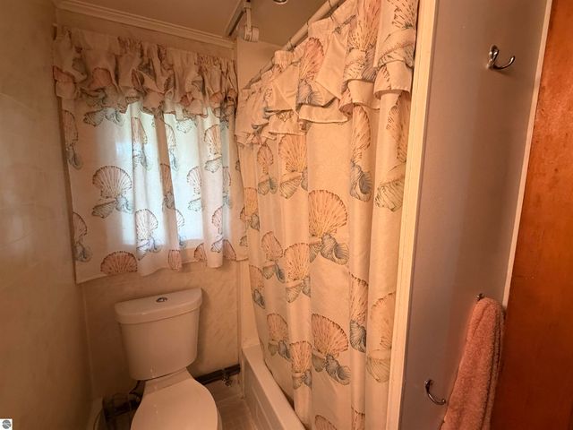 382 S Scott Drive, Farwell, MI 48622
