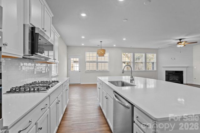 15721 White Quartz Lane, Davidson, NC 28036