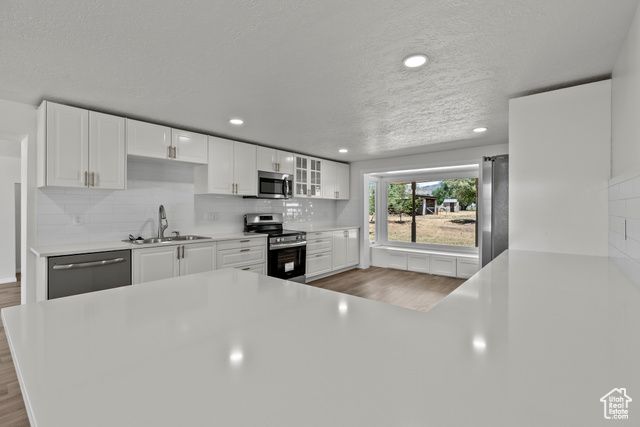 1175 E 900 N, Lehi, UT 84043