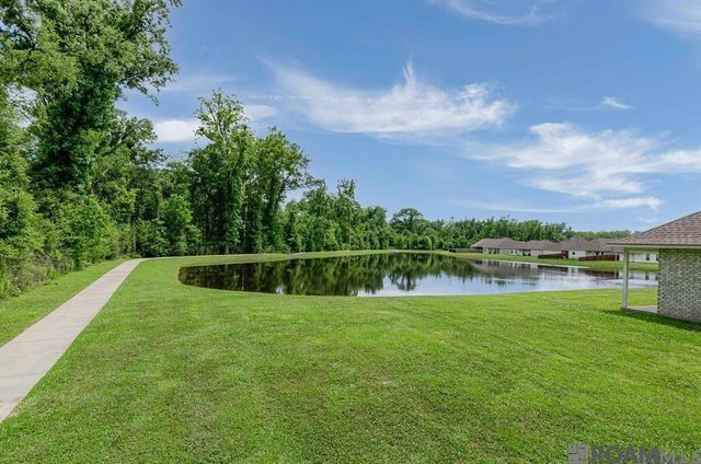 39110 Forestwood Ave, Gonzales, LA 70737