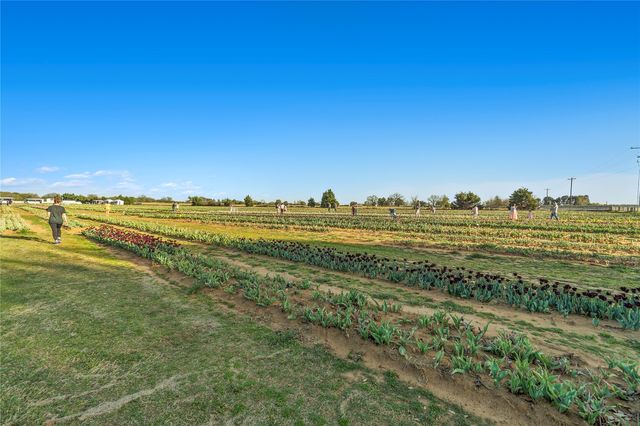 14116 Zealand Drive, Pilot Point, TX 76258