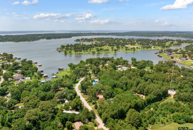 15329 Scenic View Dr, Bullard, TX 75757