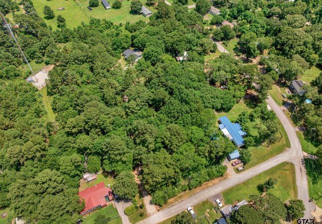 15329 Scenic View Dr, Bullard, TX 75757