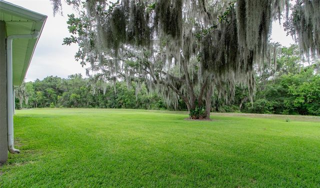 2602 BLACKWATER OAKS LANE, Mulberry, FL 33860