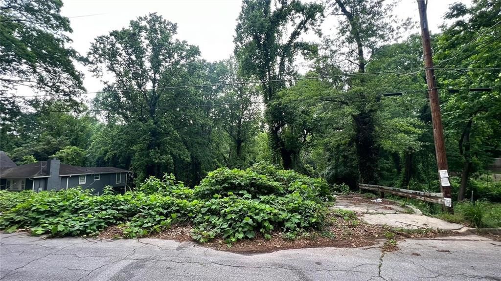 1431 Andrews NW Street, Atlanta, GA 30314