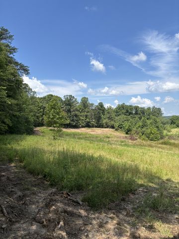 624 Myers Hill Rd, Tracy City, TN 37387