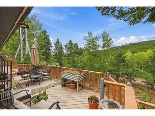 32157 Stenzel Dr, Conifer, CO 80433