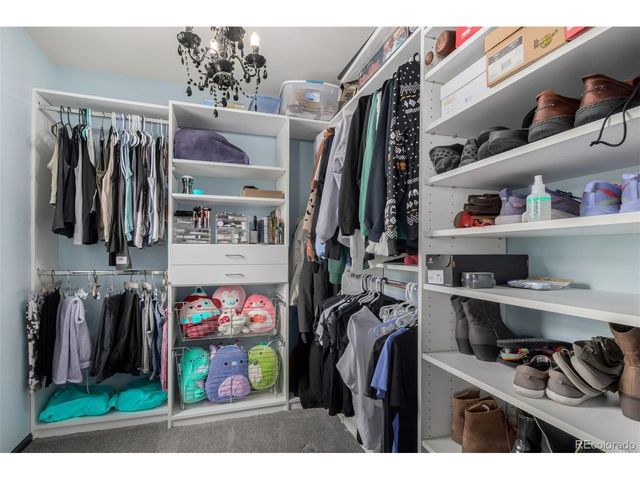 11945 S Black Horn Cir, Parker, CO 80134