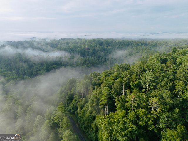 138 Rhondas Way, Ellijay, GA 30540