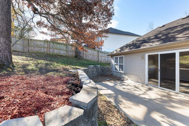 153 Sapling Drive, Branson, MO 65616