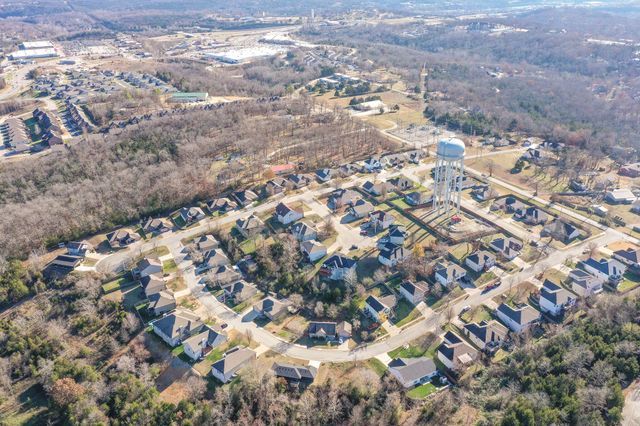 153 Sapling Drive, Branson, MO 65616