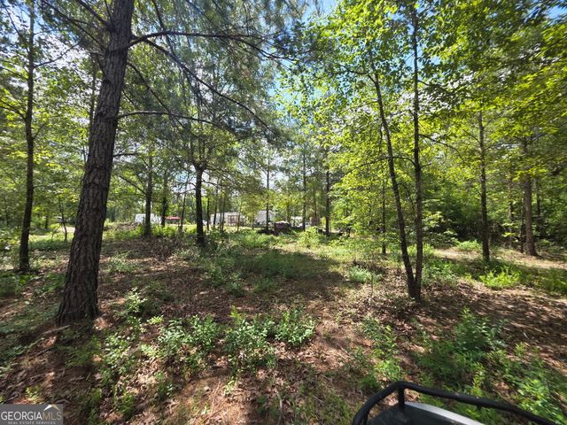 1667 Richard Moore Road, Dublin, GA 31021