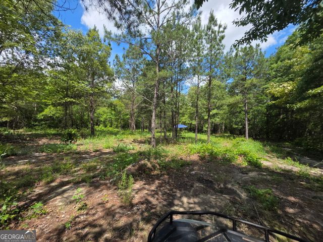 1667 Richard Moore Road, Dublin, GA 31021