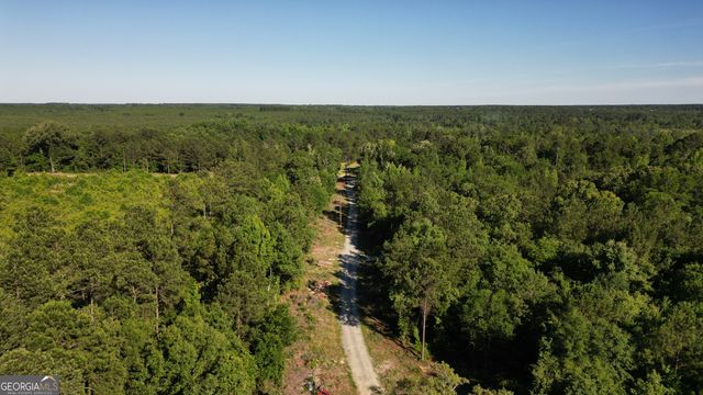 1667 Richard Moore Road, Dublin, GA 31021