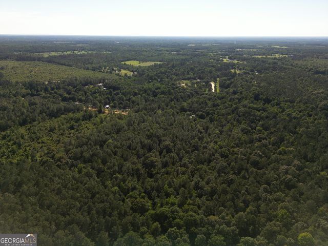 1667 Richard Moore Road, Dublin, GA 31021