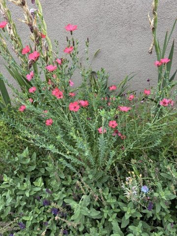 5118 Guadalupe Trail NW, Albuquerque, NM 87107