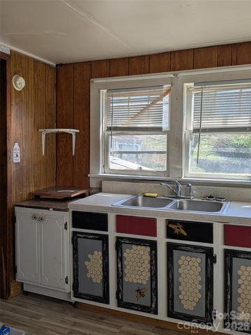 1920 Thickety Road, Clyde, NC 28721