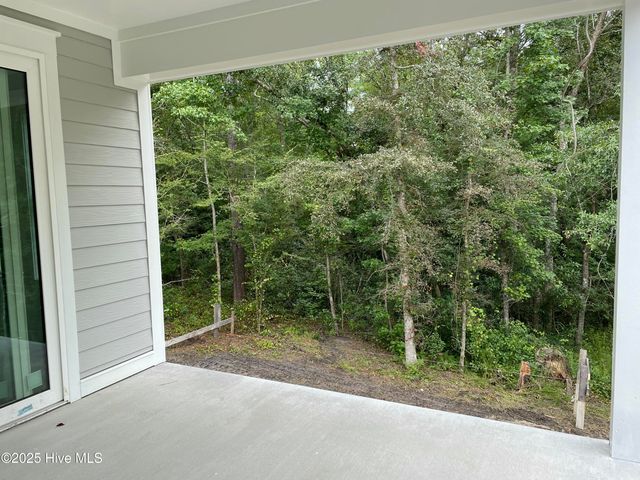 1541 Grandiflora Drive, Leland, NC 28451