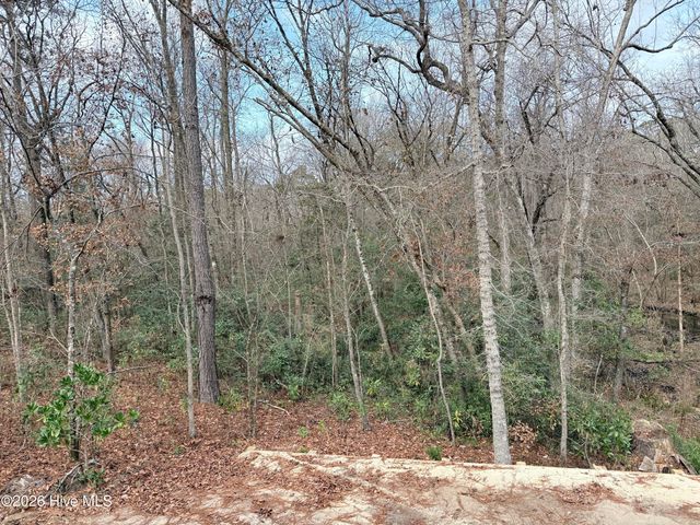 1541 Grandiflora Drive, Leland, NC 28451