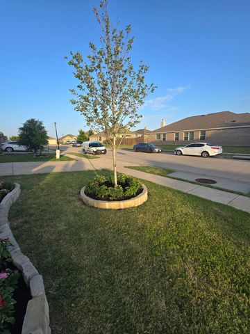 305 Pitt Circle, Fate, TX 75189