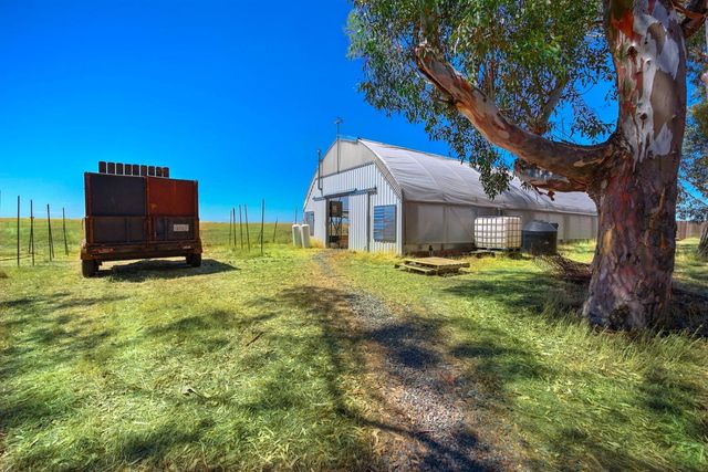 4427 E Catlett Rd, Lincoln, CA 95648