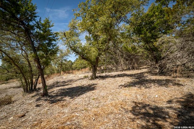 15300 State Highway 46, Spring Branch, TX 78070