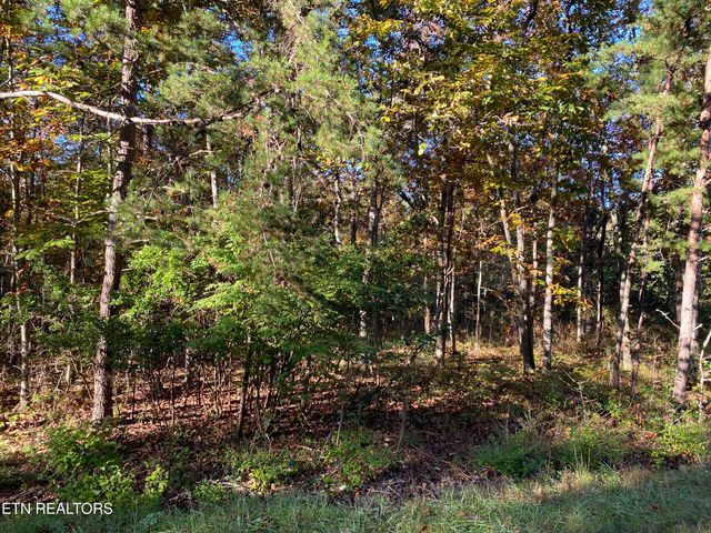 18 Manitou Drive, Crossville, TN 38572