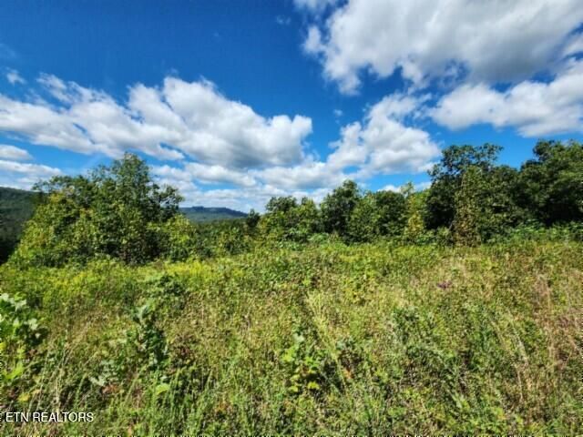 Lot 72 Tomahawk Rd, Jamestown, TN 38556