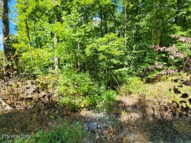 Lot 72 Tomahawk Rd, Jamestown, TN 38556