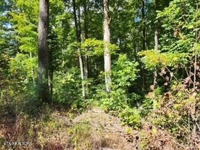 Lot 72 Tomahawk Rd, Jamestown, TN 38556