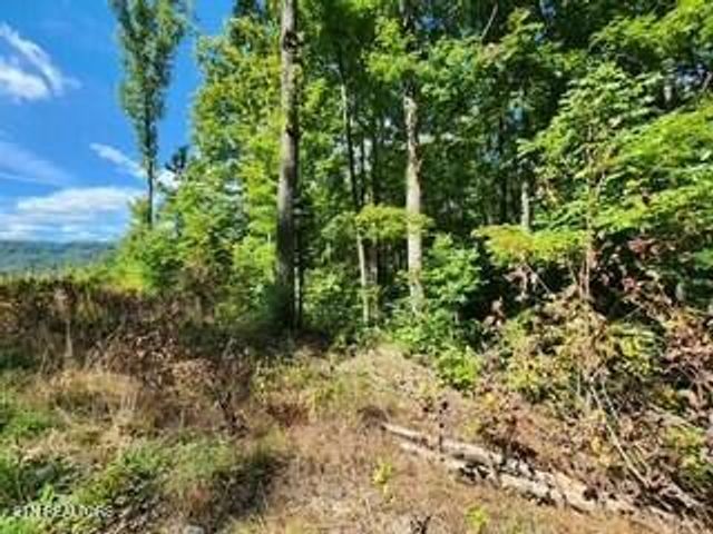 Lot 72 Tomahawk Rd, Jamestown, TN 38556
