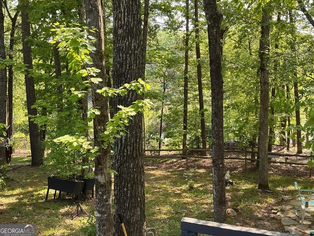 1157 Mountain Shadows Drive, Cleveland, GA 30528