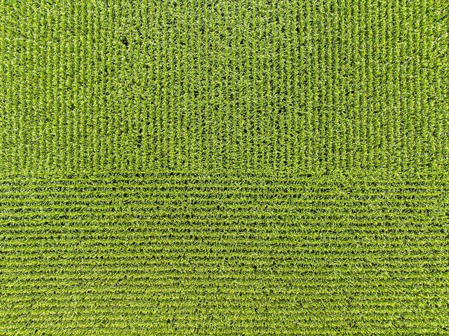 15570 2750 East Street, Princeton, IL 61356