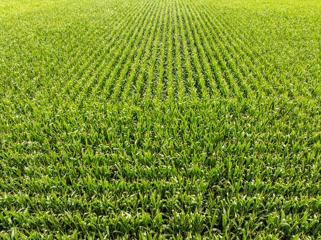 15570 2750 East Street, Princeton, IL 61356