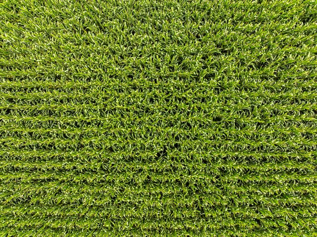 15570 2750 East Street, Princeton, IL 61356