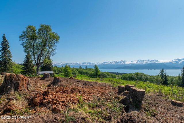 L3 Hutler Road, Homer, AK 99603