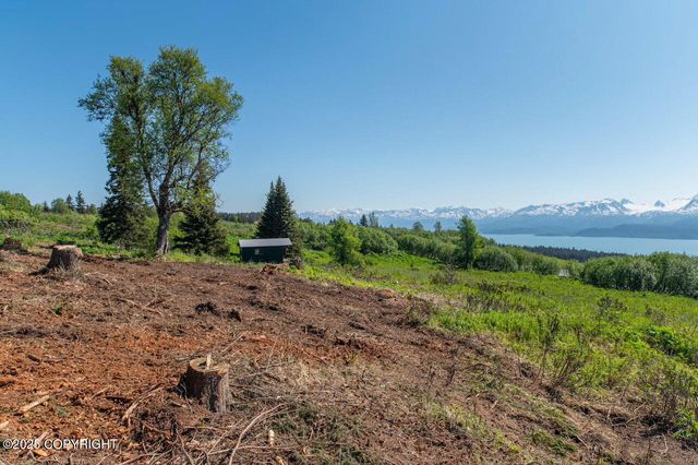 L3 Hutler Road, Homer, AK 99603