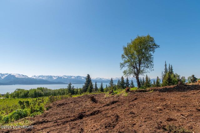 L3 Hutler Road, Homer, AK 99603