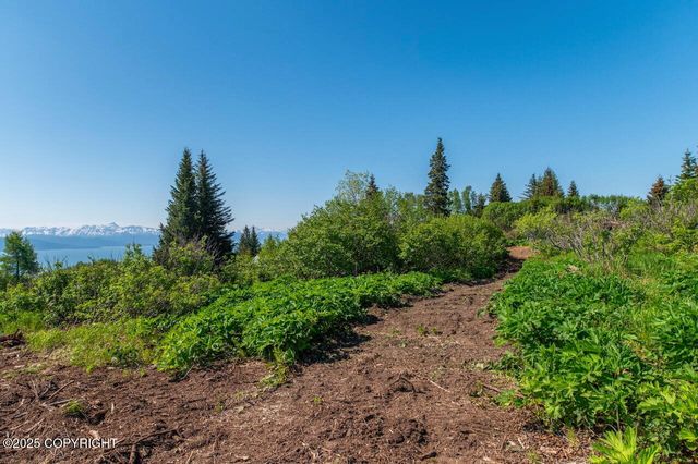 L3 Hutler Road, Homer, AK 99603